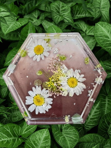Bloom Within (Hexagon Daisy Tray)